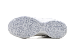 Zoom Lebron NXXT GEN AMPD "White Light Smoke Grey" FJ1566 102