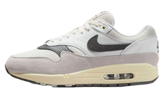 Air Max 1 "Light Bone Iron Grey" HJ3498 007