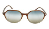 THALIA SUNGLASSES "BROWN HAVANA" RB2195-1328GD_53