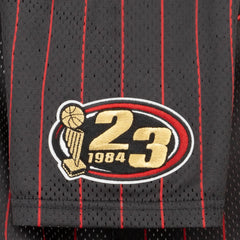 Jordan Playoff Game Jersey - Youth
