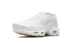 AIR MAX PLUS WMNS"Pure Platinum" DM2362 100