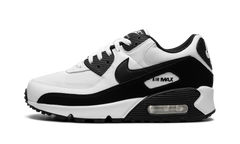 Air Max 90 "Panda" CN8490 101