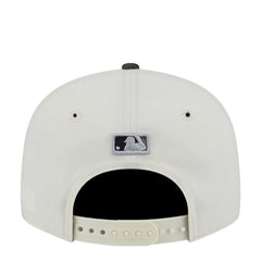 Astros Color Develop 2-Tone 950