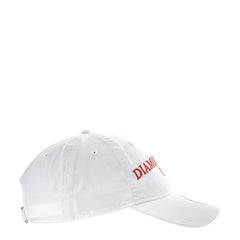 Diamondbacks Team Fan 920