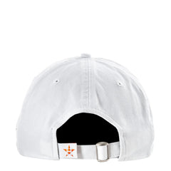 Astros Team Fan 920